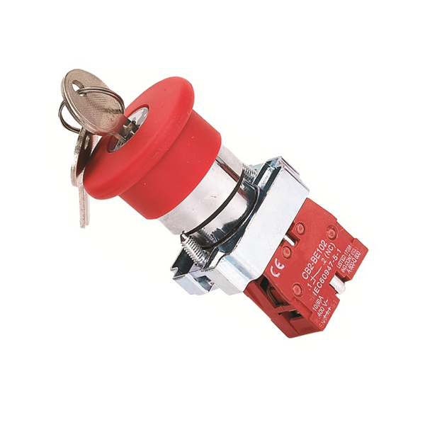 Interruptor pulsador XB2-BS142 con llave